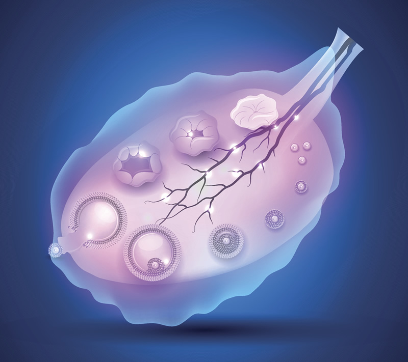 乌鲁木齐试管助孕机构排名前十汇总,附成功率解析与选择建议